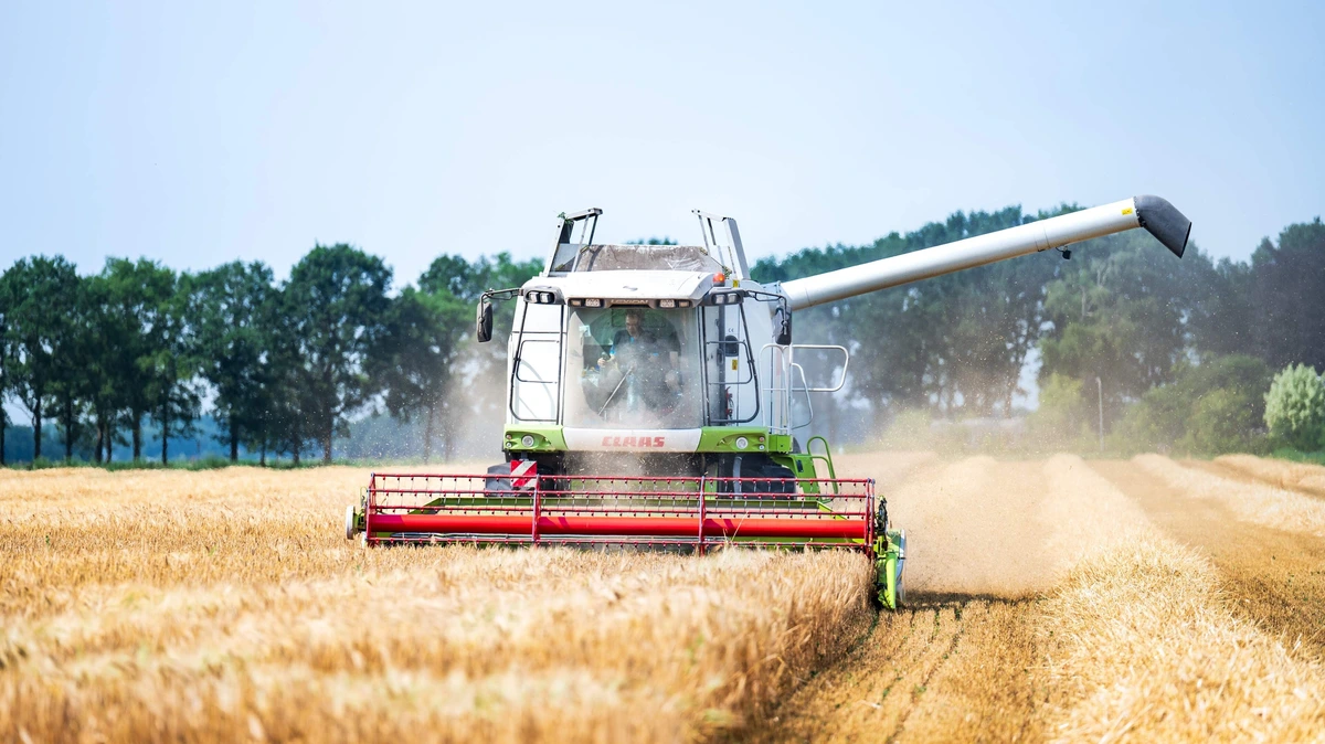 Nederlandse boeren ontvangen minder geld voor hun producten