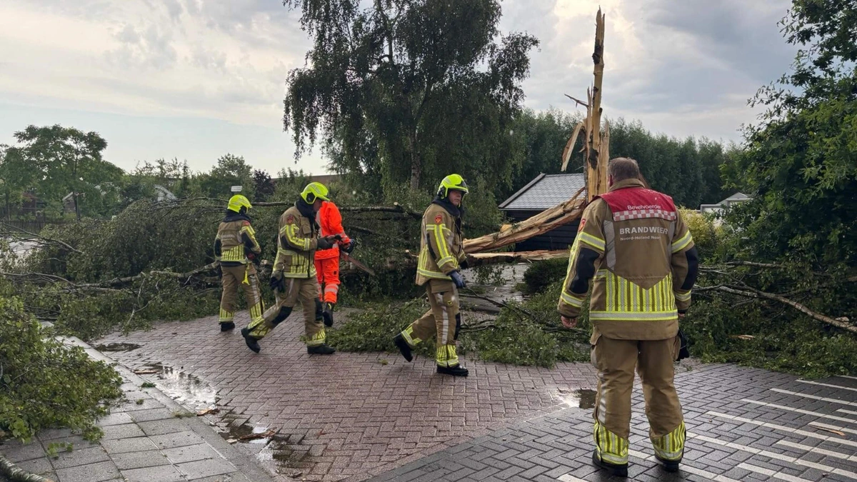 Jeffrey (33) liep door de tuin toen de bliksem in een boom sloeg: ’Alsof iemand met een zaklamp recht in mijn gezicht scheen’