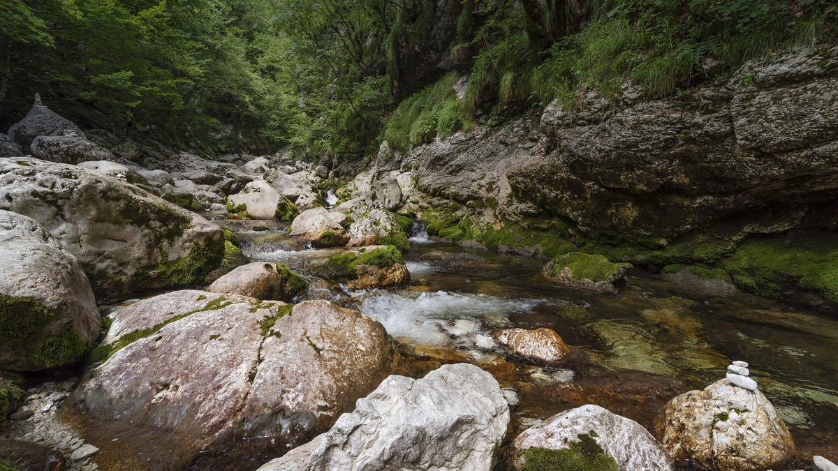 Drama in Slovenië: Nederlander (57) overlijdt tijdens afdaling in berggebied, stort voor ogen gezin in afgrond