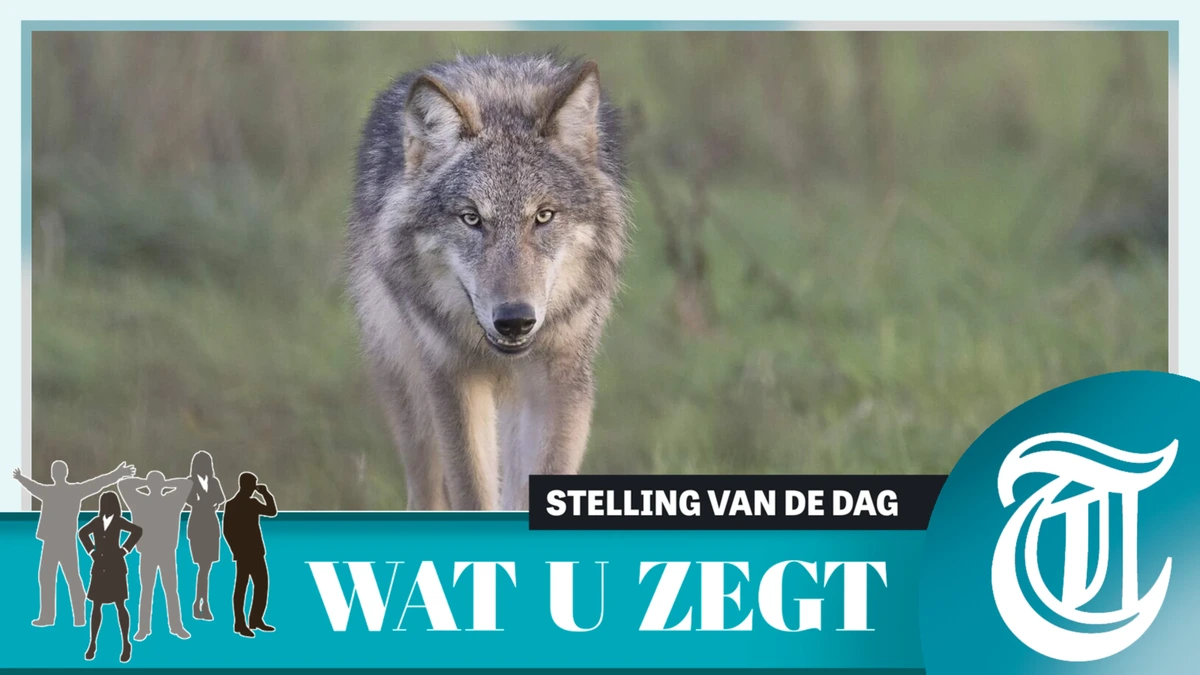 Stelling:  eerder afschieten probleemwolf mogelijk maken