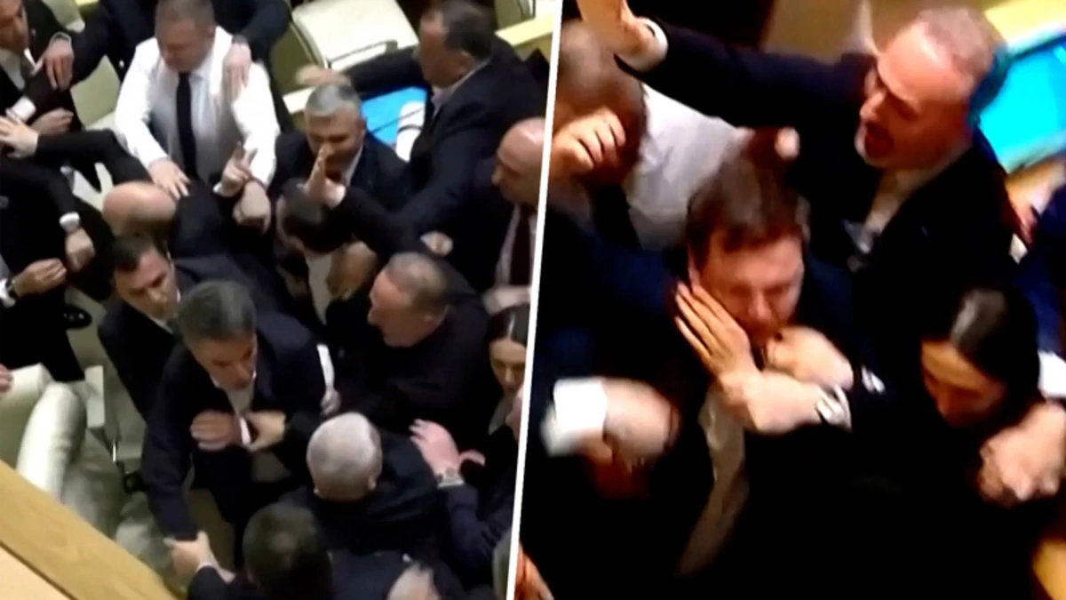 Debat ontspoort volledig: klappen uitgedeeld in Georgisch parlement