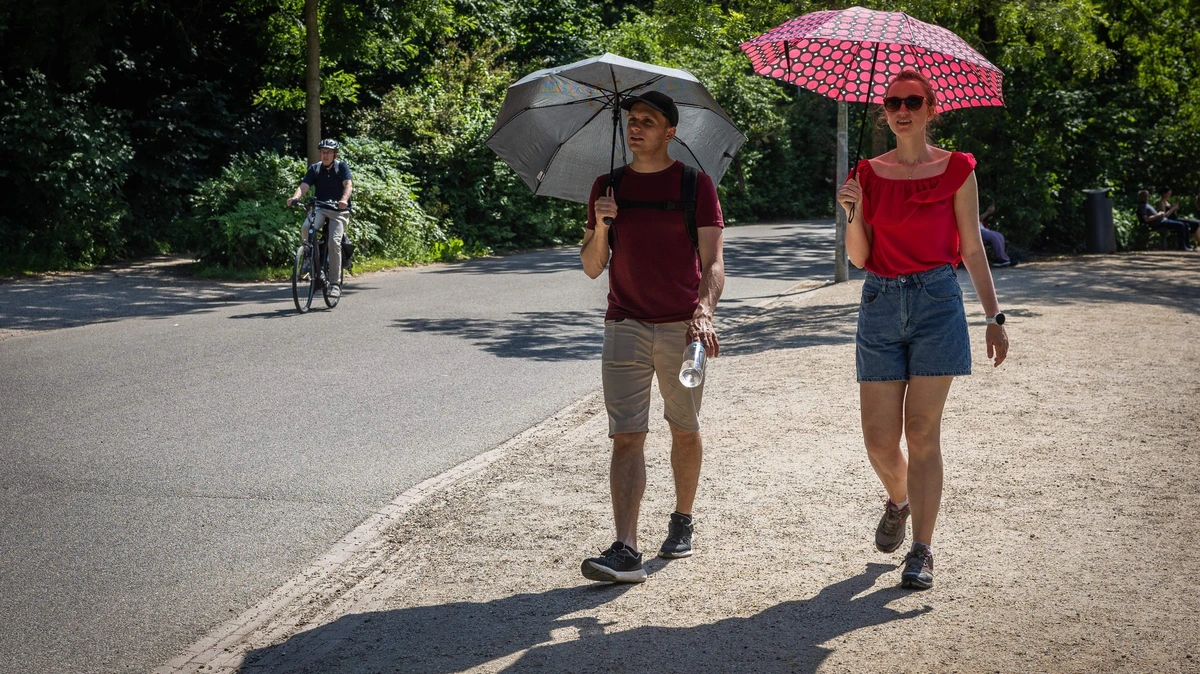 Hoge temperaturen houden aan: ook vandaag code geel in grote delen van het land