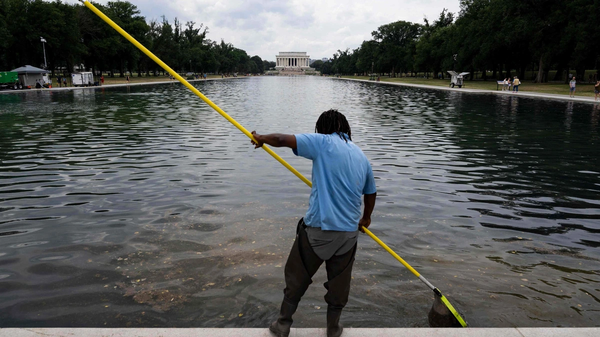 Trump verwerpt dat problemen Reflecting Pool door mislukte renovatie komen, wijst opnieuw naar ’vandalen met mes’