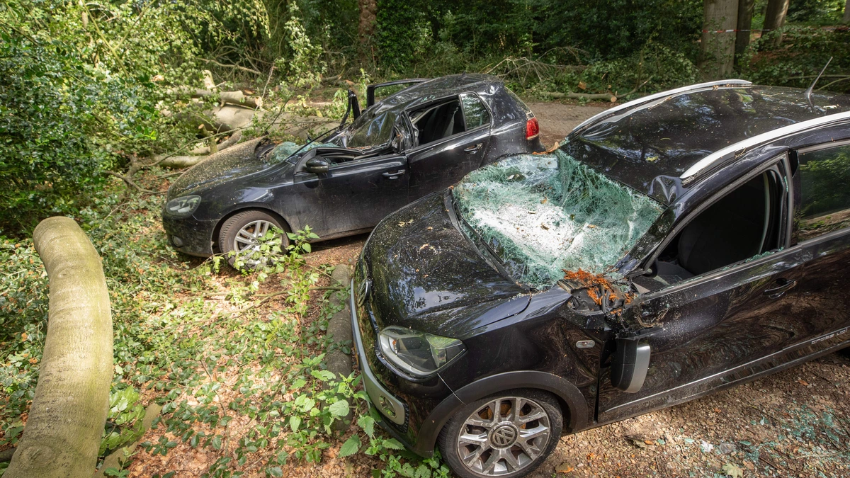 Familie uit Lage Vuursche verliest twee auto's door noodweer: ’Het had nog veel erger af kunnen lopen’
