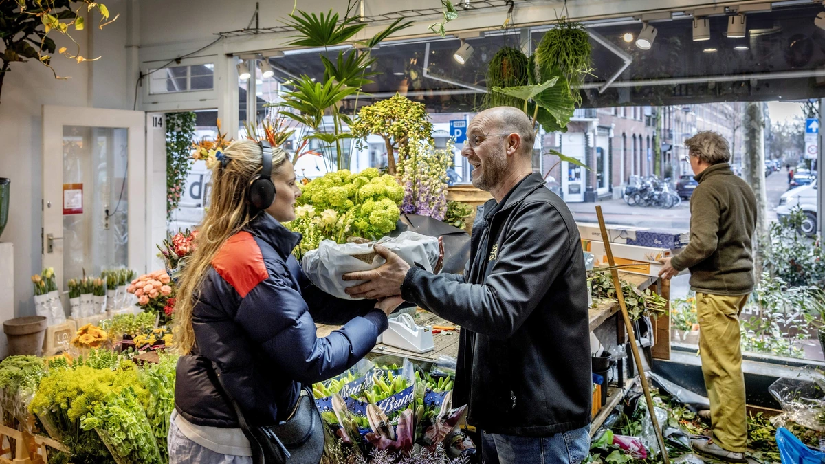 Sector slaat alarm om tulpentaks en hoopt nog op een ’kanskaart’: ’Helft van de bloemisten kan failliet gaan’