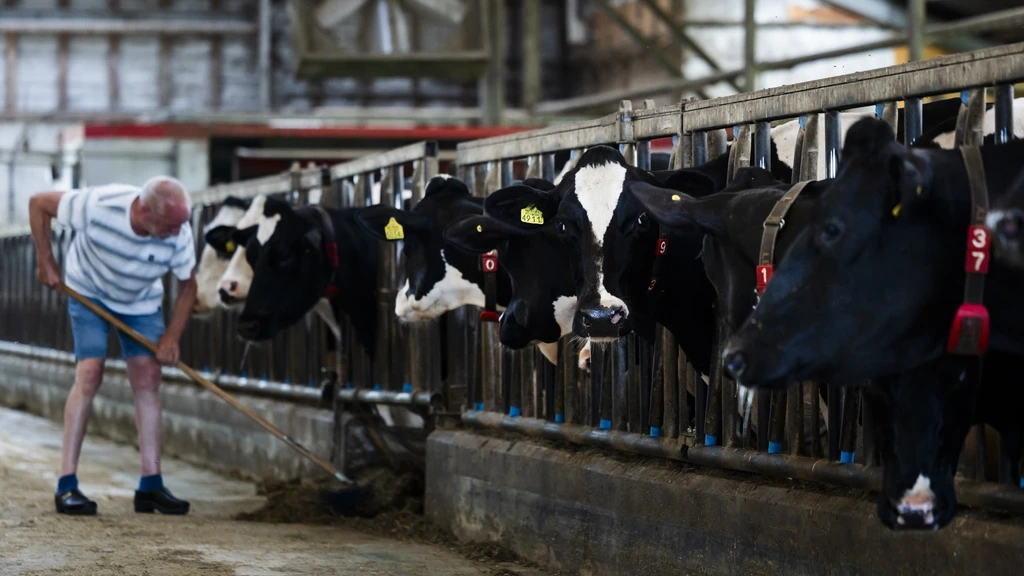Kabinet akkoord over ingrijpend stikstofplan, steeds meer details bekend