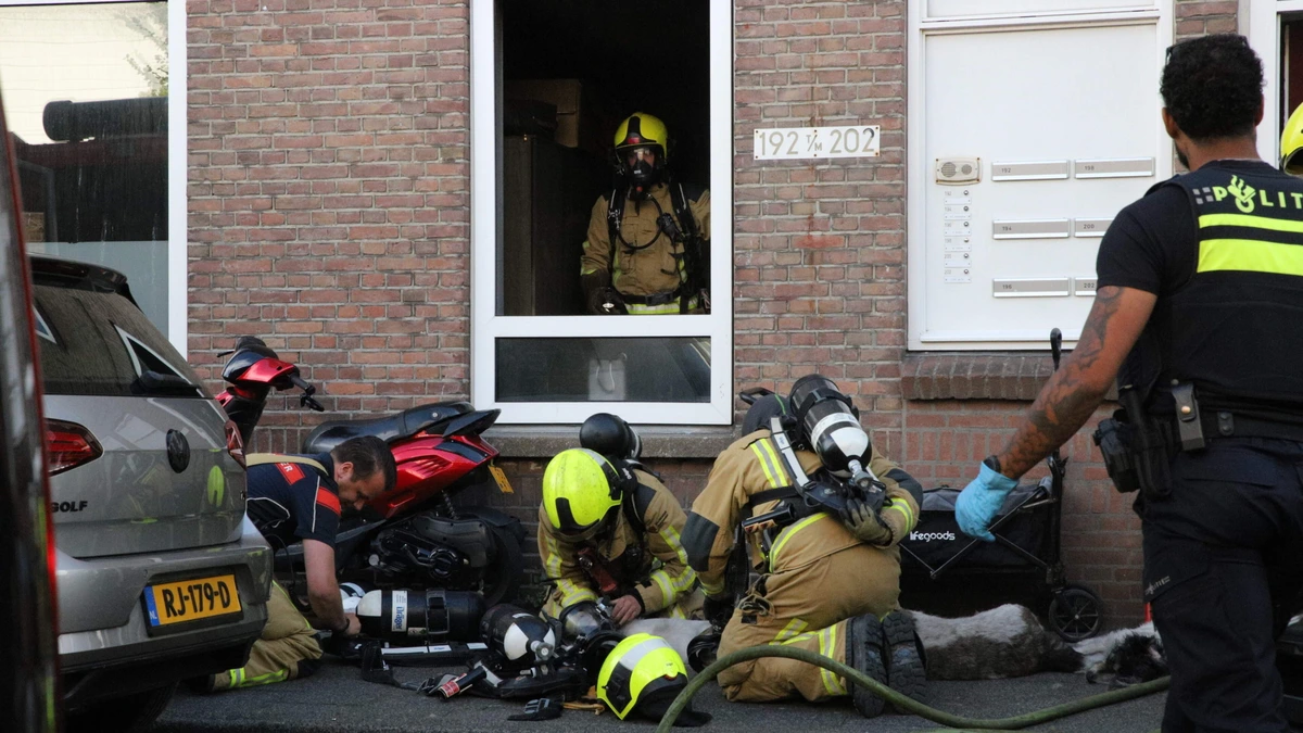 Vijf honden overleden door brand in portiekwoning in Den Haag: dieren op stoep gereanimeerd