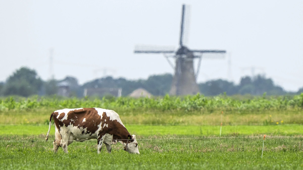 Lezers: ’We weten allemaal dat D66 niet zoveel waarde hecht aan de voedselproductie in ons land’
