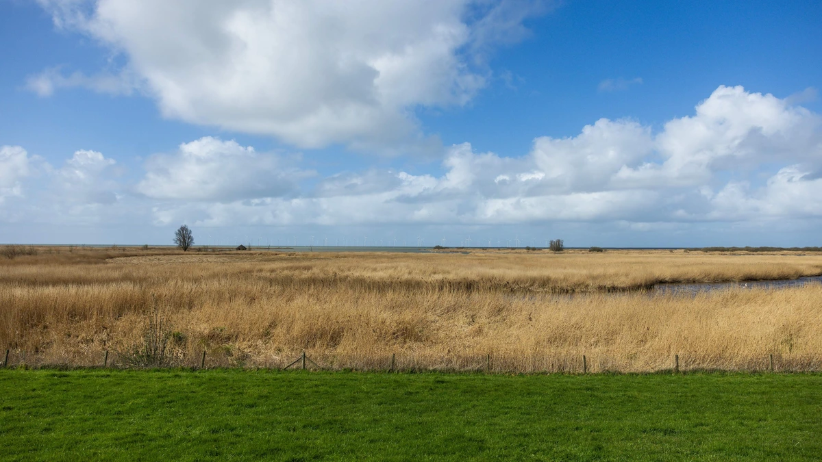 Praat Mee: Geeft Nederland te veel geld uit aan de natuur?