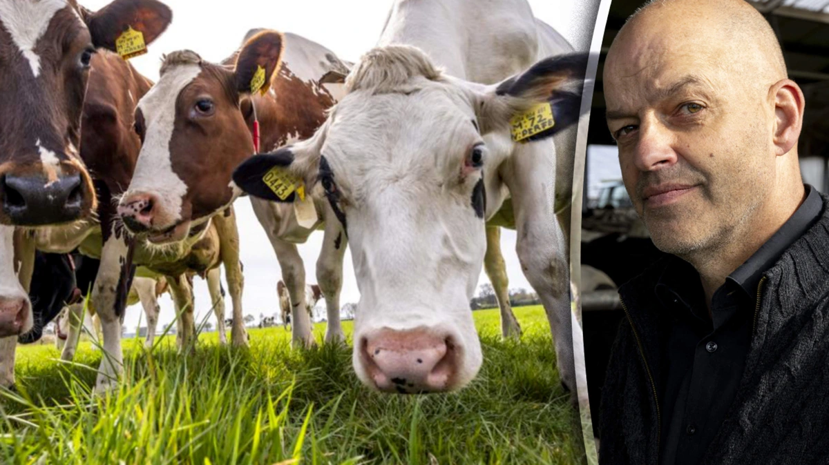 Jos Verstraten: de koeiennorm is een oplossing op zoek naar een probleem