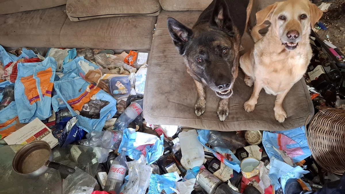 Inspectie doet inval in Elburg en neemt huisdieren in beslag: honden, katten en vogels leefden in ware vuilnisbelt