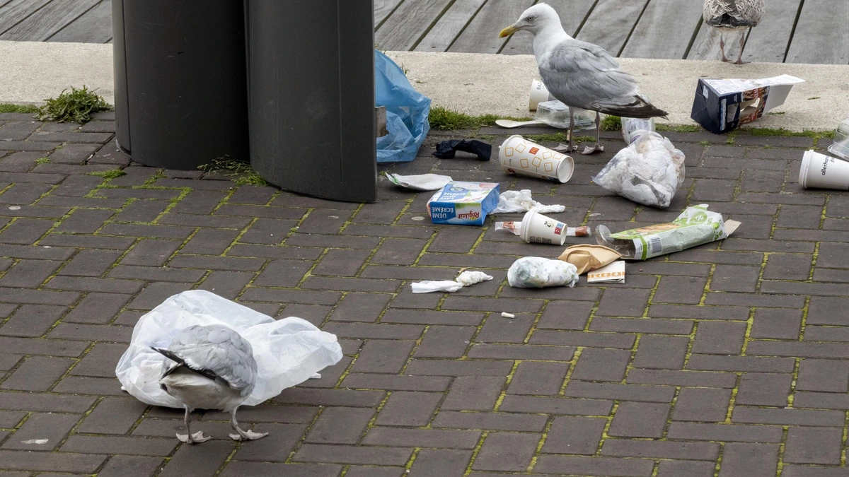 Voedselverspilling Nederlanders nog verder gedaald