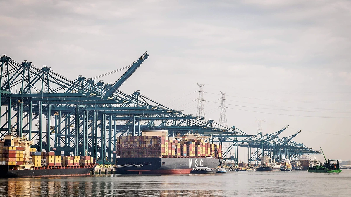 Nederlander nieuwe topman havenbedrijf Antwerpen-Brugge