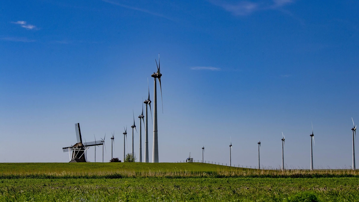 Energiecoöperaties winnen zaken bij waakhond ACM: ’Het stroomnet is niet vol, het is op slot gezet’