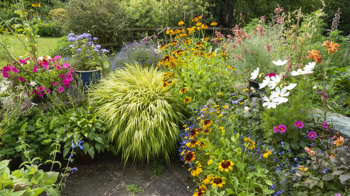Een hele zomer bloemen op je balkon? Met deze tips bloeien ze langer
