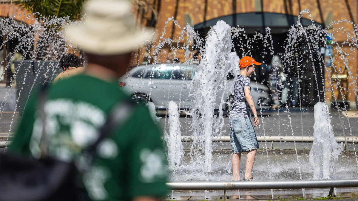 LIVE | Code rood in België: hitte met temperaturen tot 40 graden