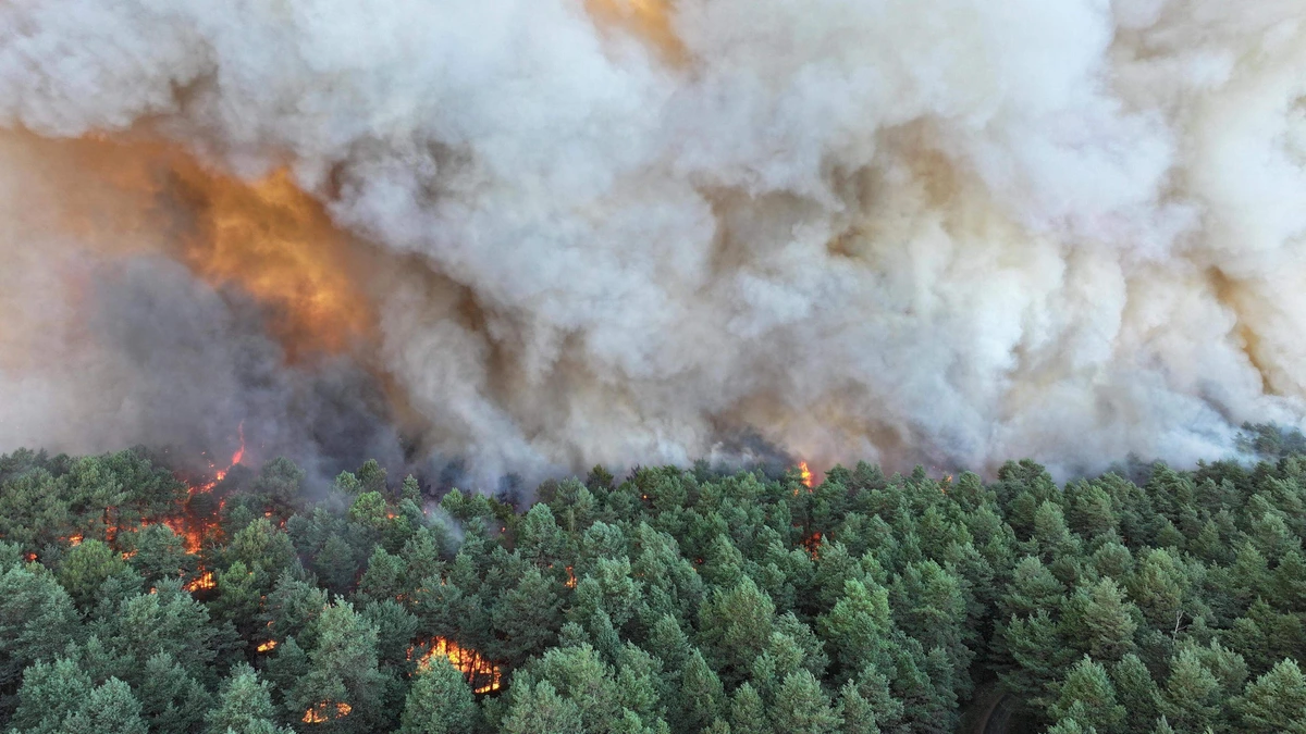 LIVE | Code oranje voor brandgevaar in Vlaamse natuurgebieden