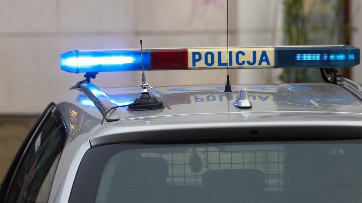 Voormalig Russisch oppositieactivist veroordeeld voor spionage in Polen