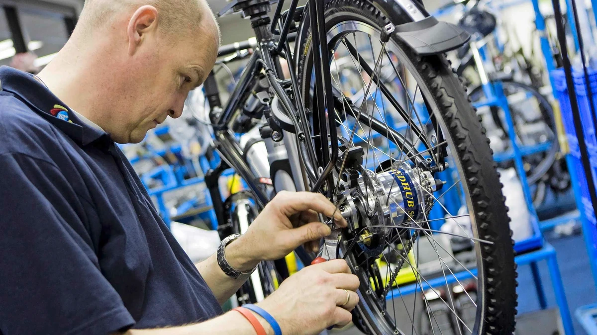 Moederbedrijf Batavus en Raleigh weer te koop gezet