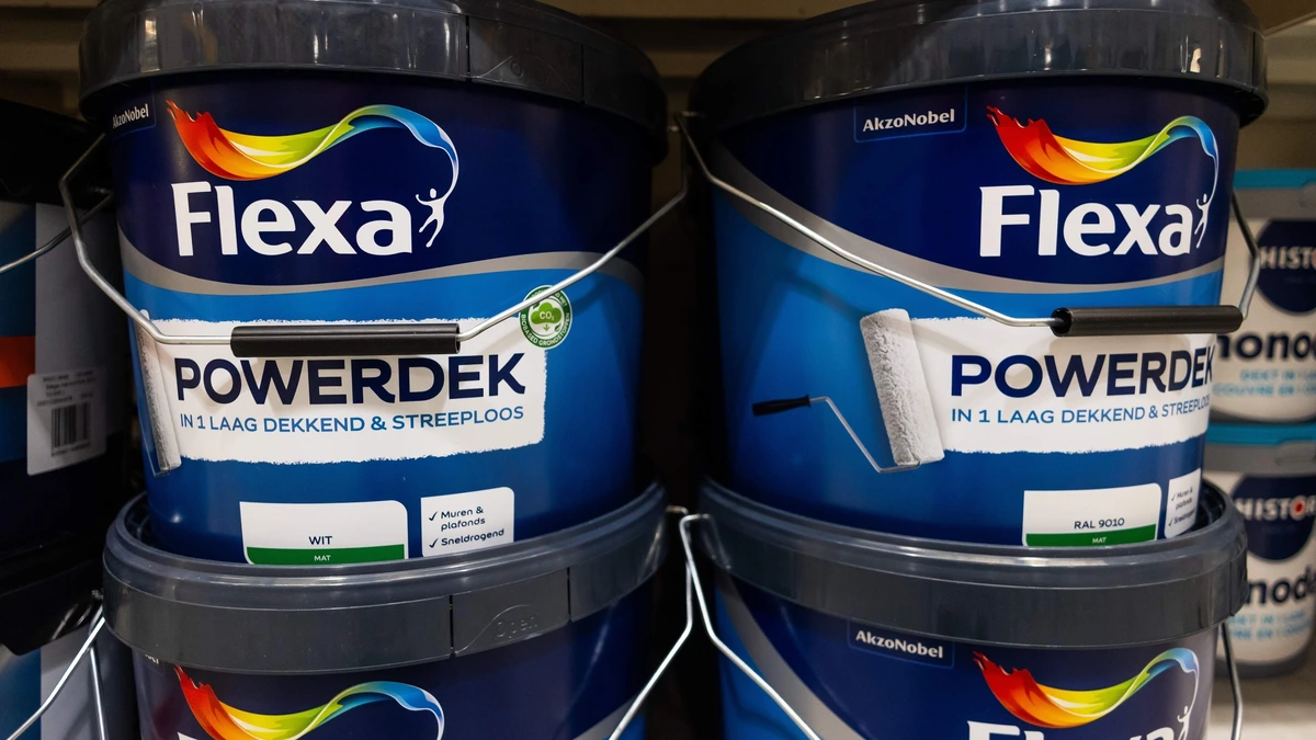 Nippon biedt 7,5 miljard euro voor consumententak Flexa- en Sikkensmaker AkzoNobel