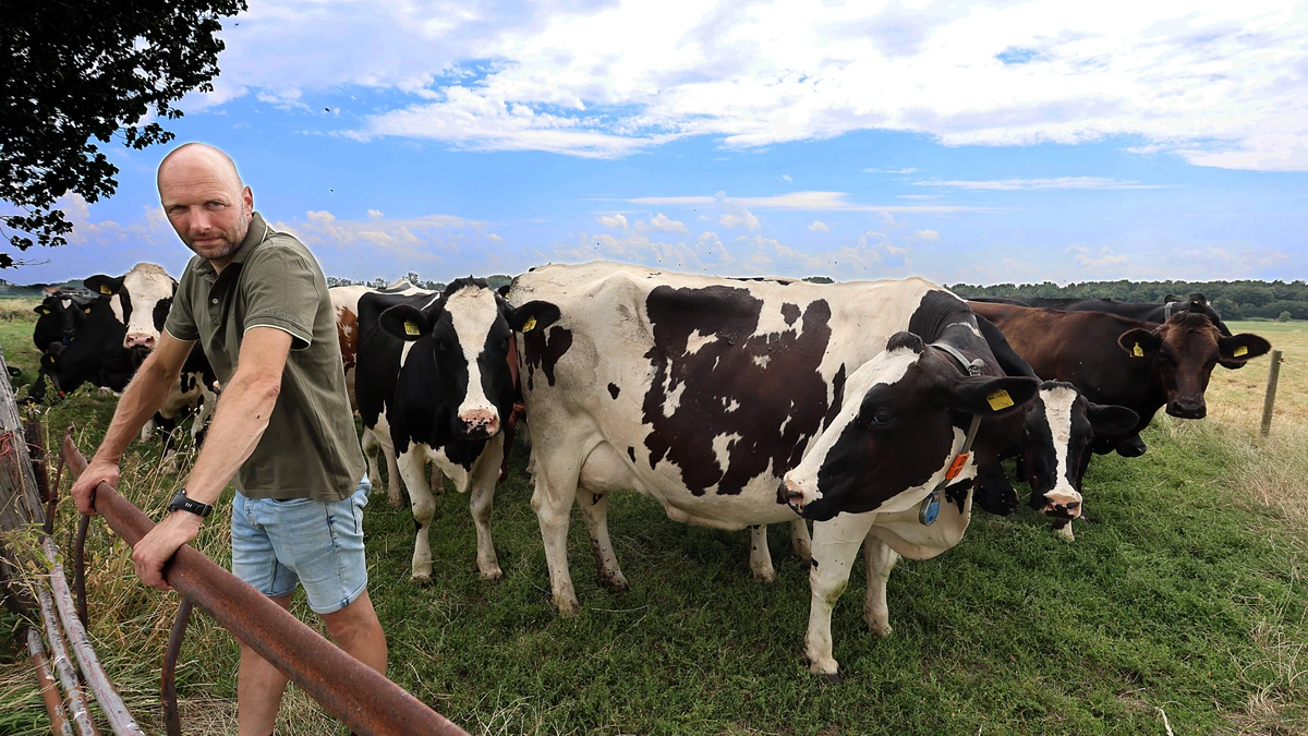 Boeren hoopten vurig op herziening EU-mestregels, maar vangen bot: ’Er zou een nieuwe wind waaien door het landbouwbeleid’
