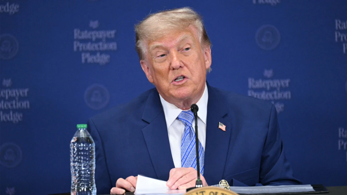 'Het slaat nergens op, maar Donald Trump doet het wel'