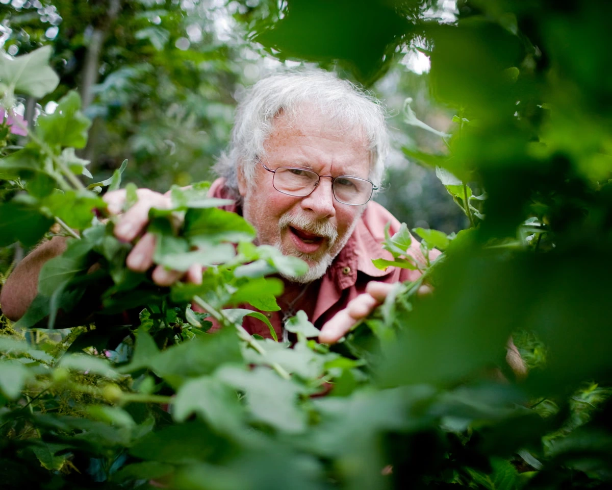 Bill Oddie: the comedy legend tragically undervalued by the BBC