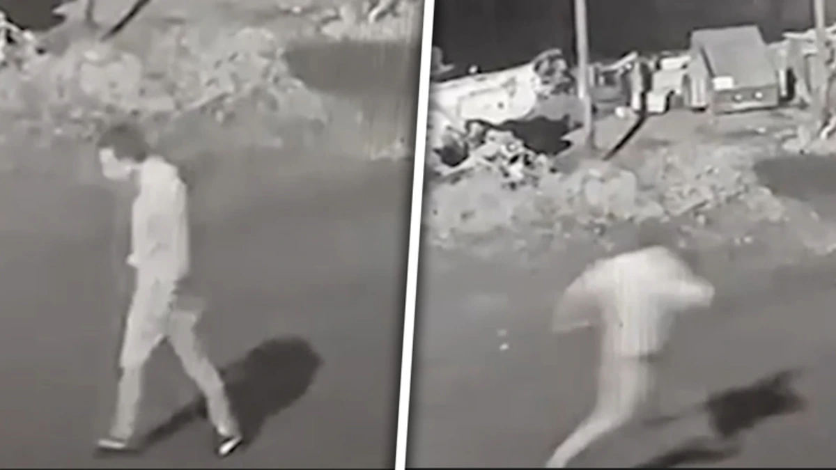 Bijzonder tafereel in Turkse stad gefilmd: man achtervolgd door moederbeer