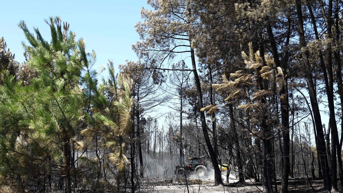 Duizenden toeristen geëvacueerd om natuurbrand bij Bordeaux