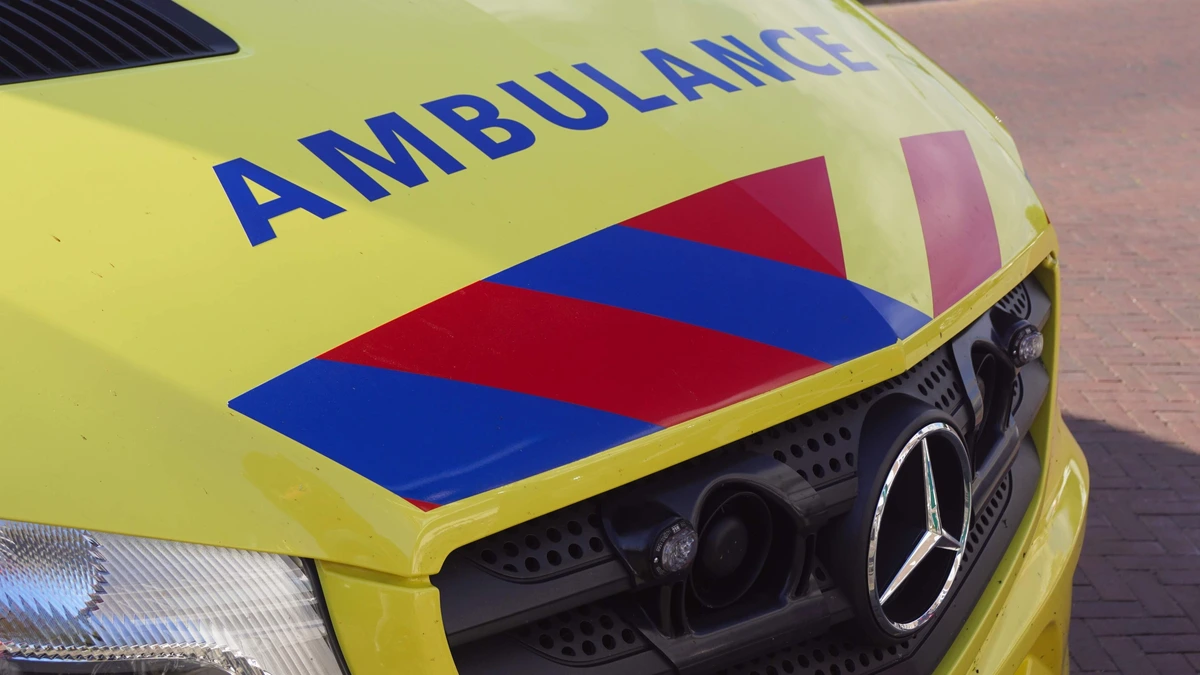 Twee doden (17 en 18) bij eenzijdig verkeersongeluk in Maarssen