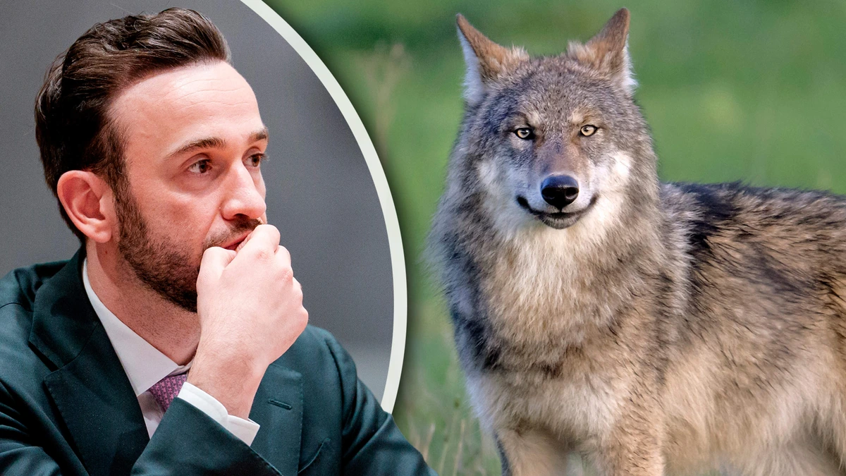 Nederlandse ’terrorwolven’ blijken dodelijkste van Europa: pleidooi om eerder en eenvoudiger af te kunnen schieten