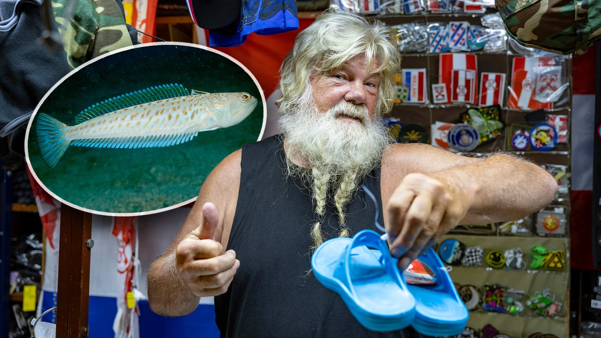 Strandgangers massaal aan plastic sandalen na paniek over giftige grote pieterman: ’Beter voor lul lopen dan een steek’