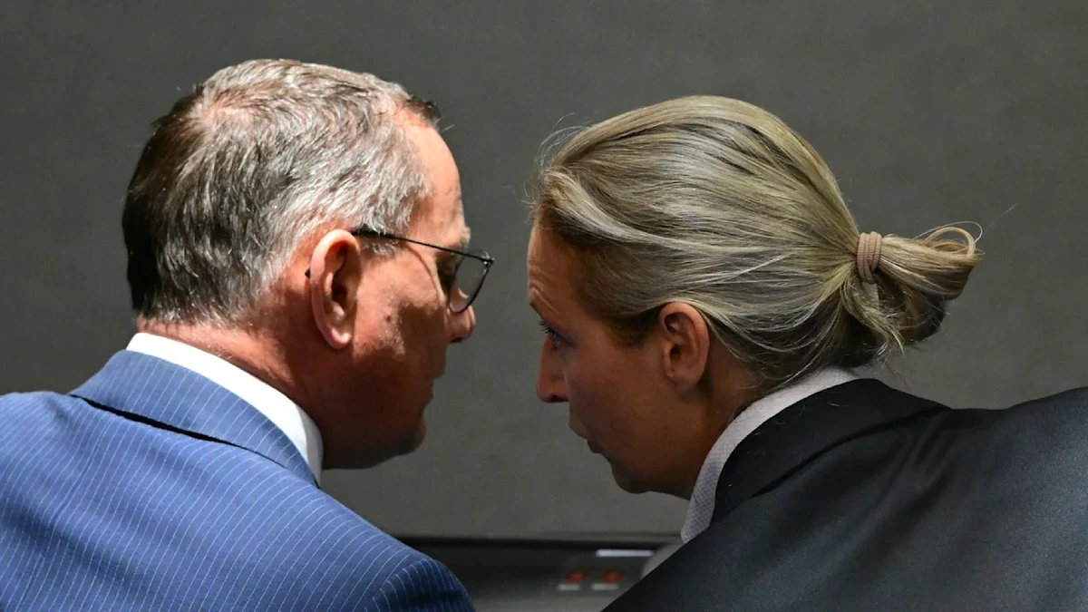 AfD-Parteitag in Erfurt: Jetzt tobt der Machtkampf hinter den Kulissen