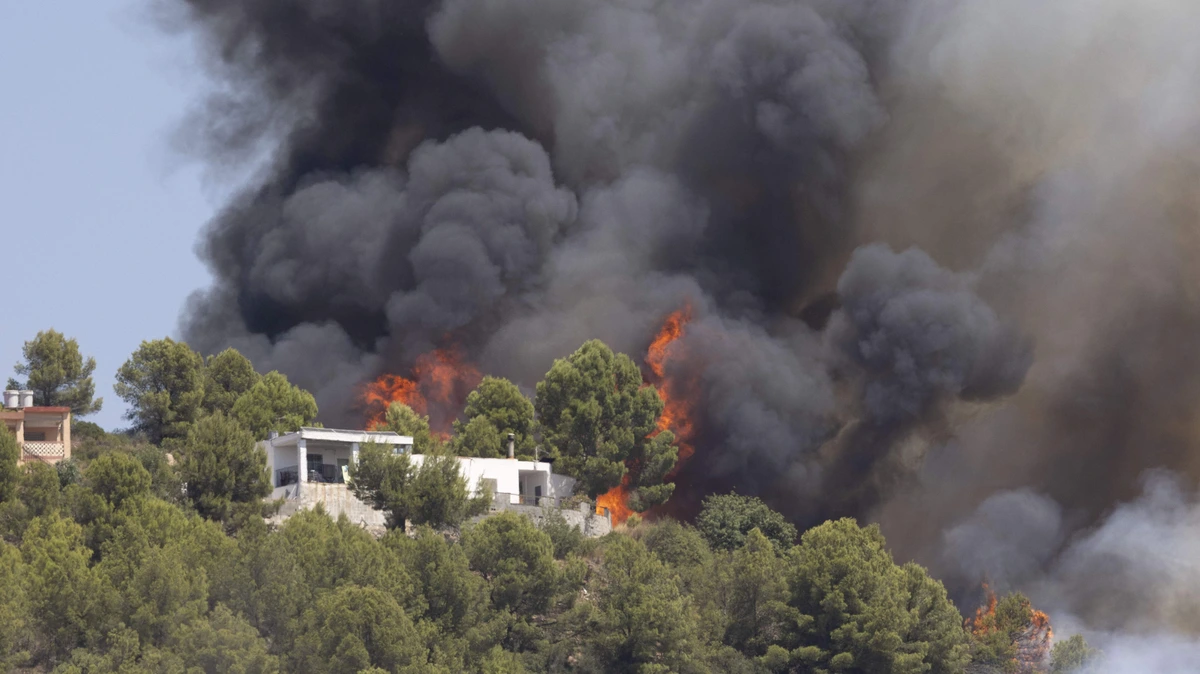 LIVE | Spanje krijgt nieuwe brandhaard nabij Valencia niet onder controle, al 15.000 geëvacueerden: ’Het overstijgt onze bluscapaciteit’