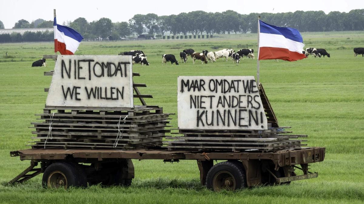 Domper voor Nederlandse boeren: EU-mestregels gaan niet op de schop