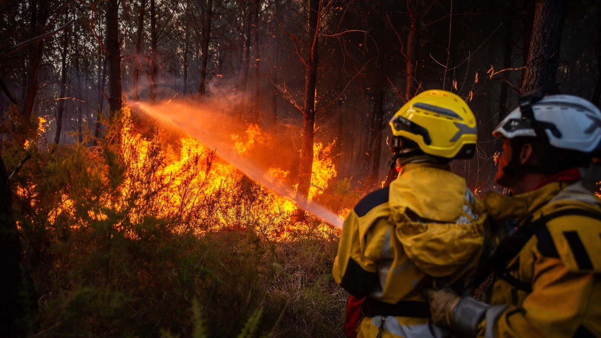 LIVE | Recordjaar 2025 al ingehaald: meeste natuur ooit afgebrand in Europese Unie