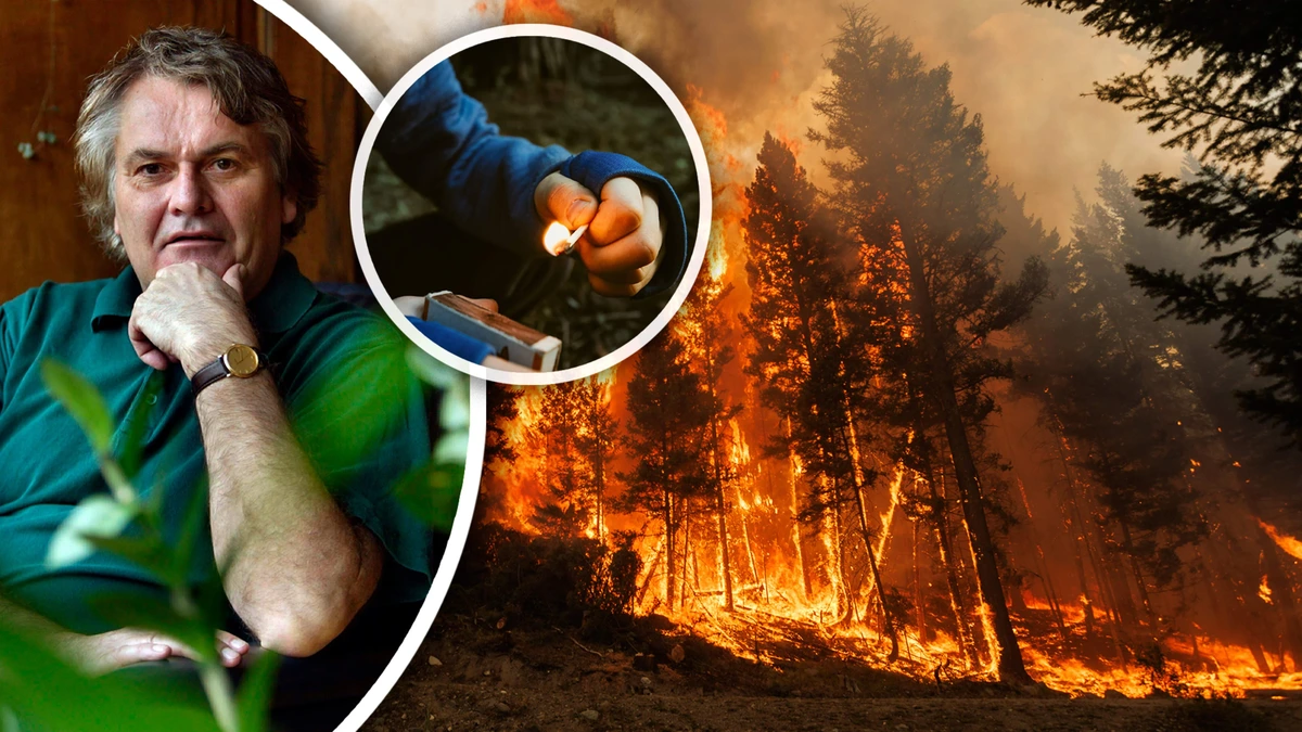 Vrijwillige brandweerman (18) stak bosbrand in Parijs aan: ’Combinatie van vuur, adrenaline en waardering is voor een pyromaan aantrekkelijk’