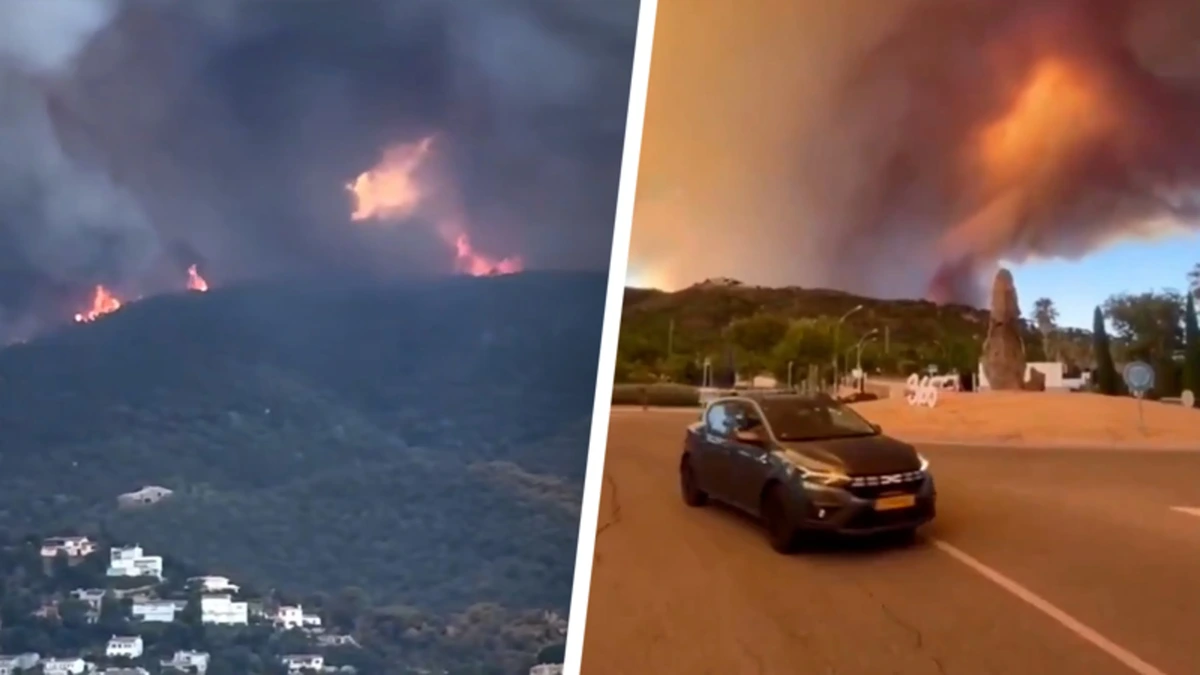 Vlammenzee aan Costa Brava legt hectaren aan bos in de as