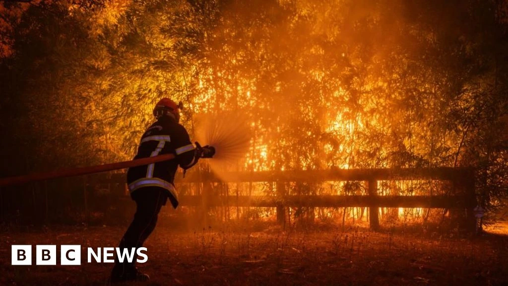 Macron calls crisis meeting as wildfires threaten Bordeaux and heatwave looms