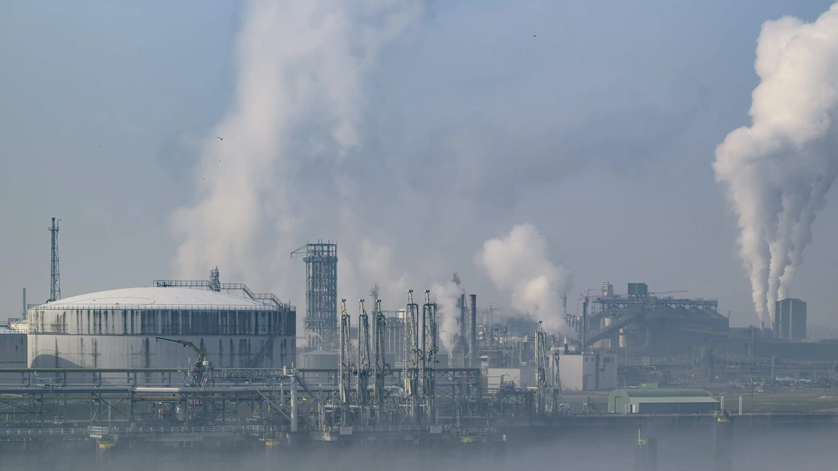 Overslag haven Rotterdam ondervindt geen hinder van onrust Midden-Oosten: ’Stikstofpakket kabinet positief voor getroffen industrie en energiesector’