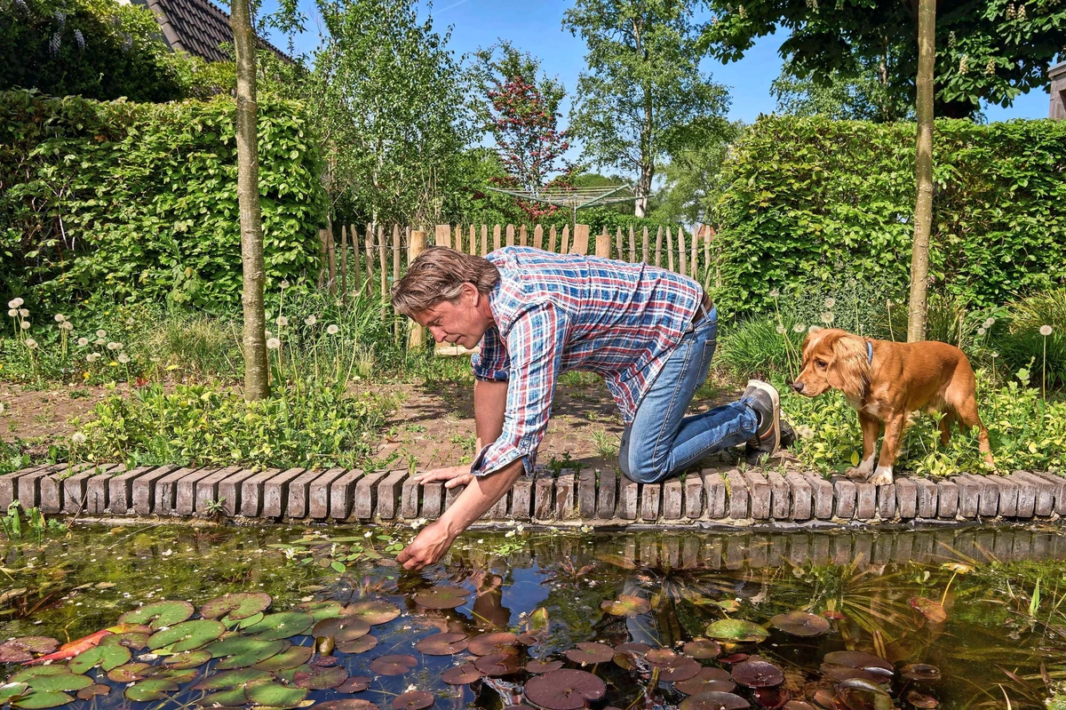 Je eigen groene oase: in 7 stappen naar een ’levende’ tuin