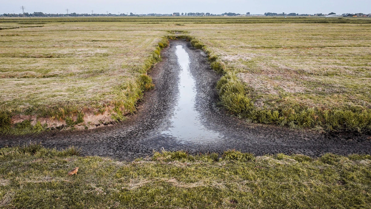LIVE | Watertekort in Nederland: extra maatregelen om droogte