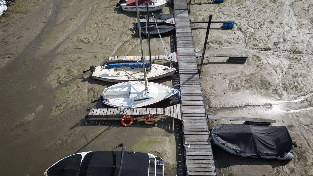 LIVE | Droogte in Nederland loopt verder op: 2026 bij droogste 5 procent jaren