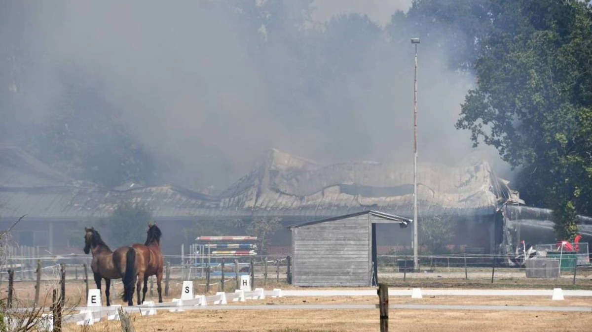 Grote brand verwoest stal in Clinge: twee paarden dood