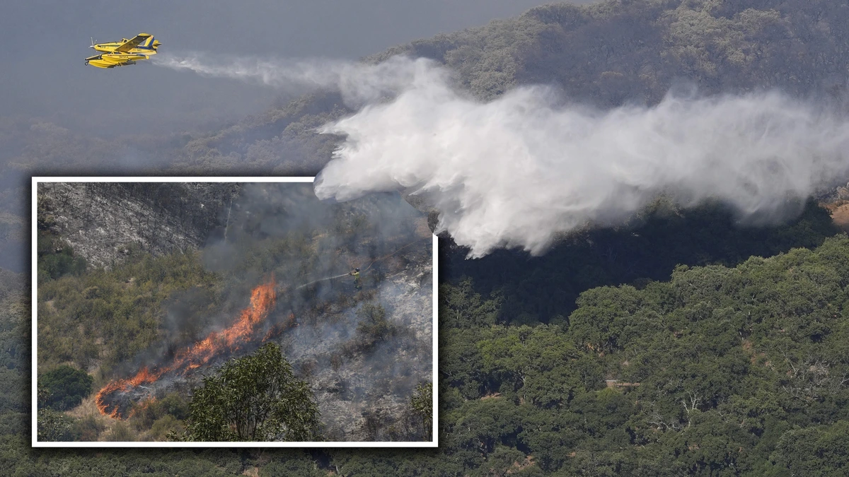 LIVE | Elf doden bij bosbrand in Andalusië, Frankrijk activeert nieuw noodplan om hitte