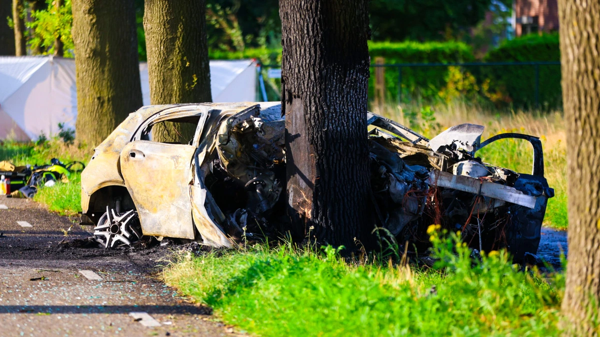 Kind overlijdt na ernstig ongeluk op A13, ook twee doden bij crash tegen boom in Zeeland