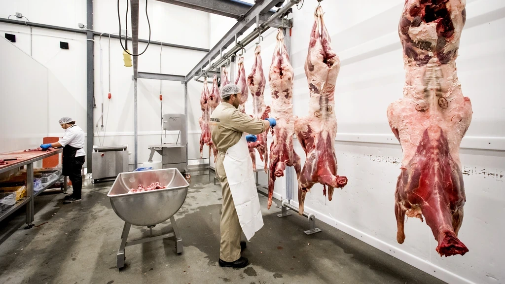 Kabinet komt met verbod op uitzendkrachten in vleessector