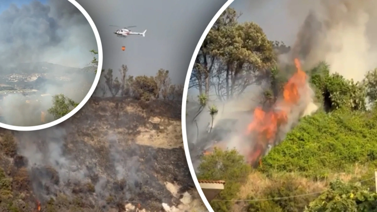 Beelden: enorme bosbrand breekt uit nabij vulkanisch gebied in Zuid-Italië