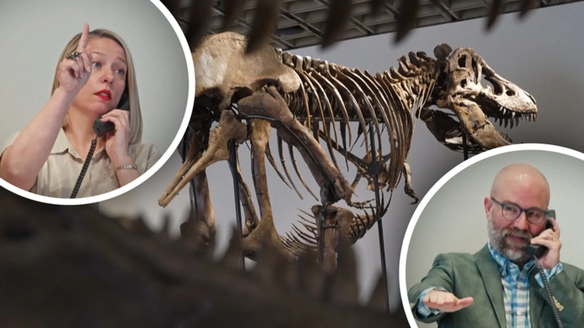 Kijk mee: zo werd een T. rex skelet verkocht voor 50 miljoen dollar
