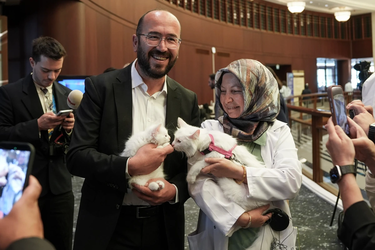 Katten van Ankara stelen de show tijdens NAVO-top
